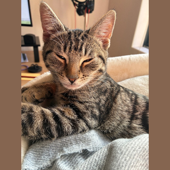 Photo of Zeke
