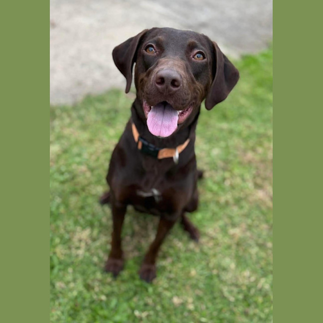 Photo of Marley