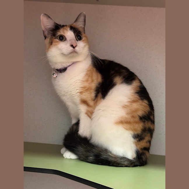 Photo of Tabitha