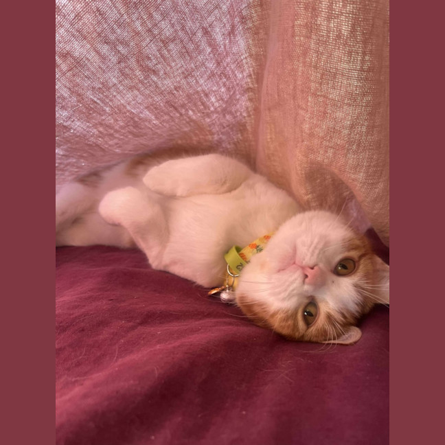 Photo of Edgar (Egg 🥚) 