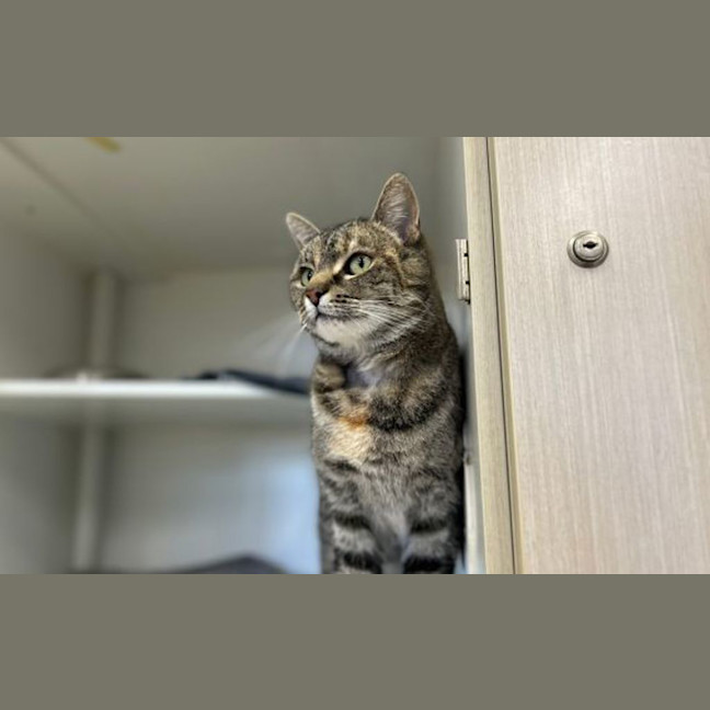 Photo of Isabella