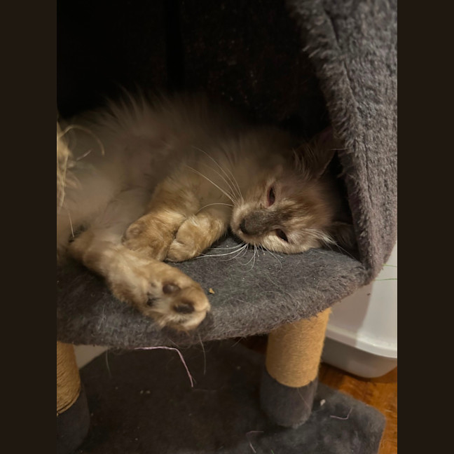 Photo of Sid And Nancy