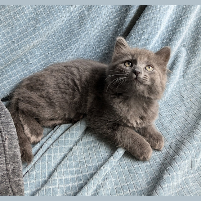 Photo of Storm