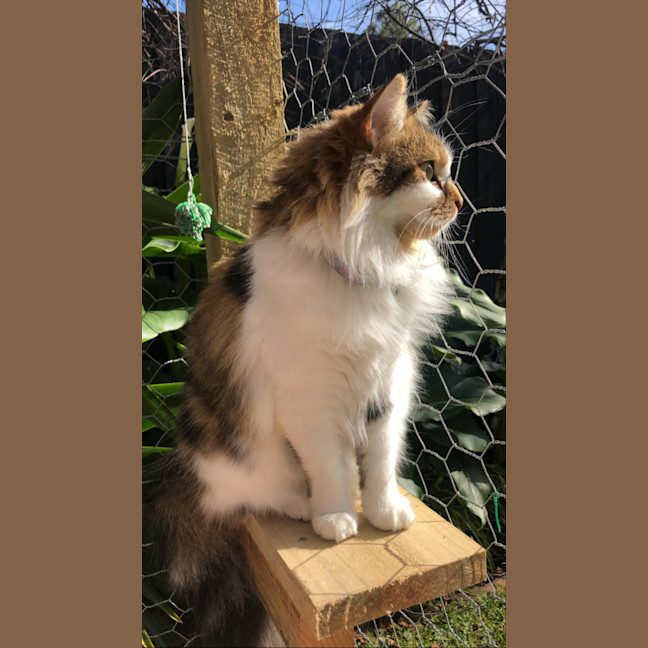 Photo of Hazel