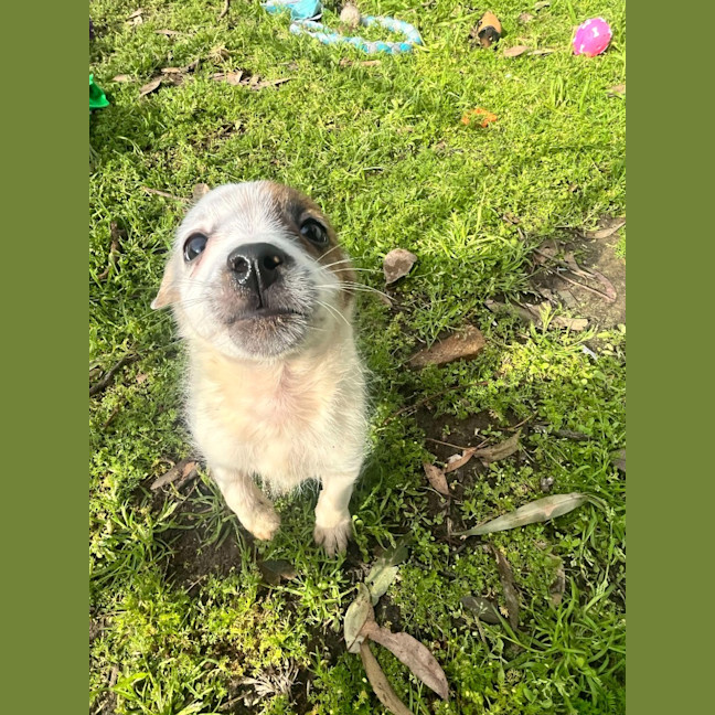 Photo of Thelma