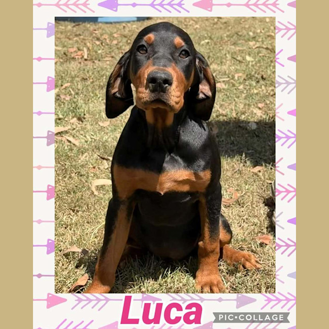 Photo of Luca