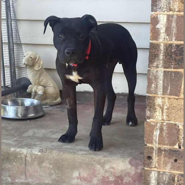 Photo of Leroy