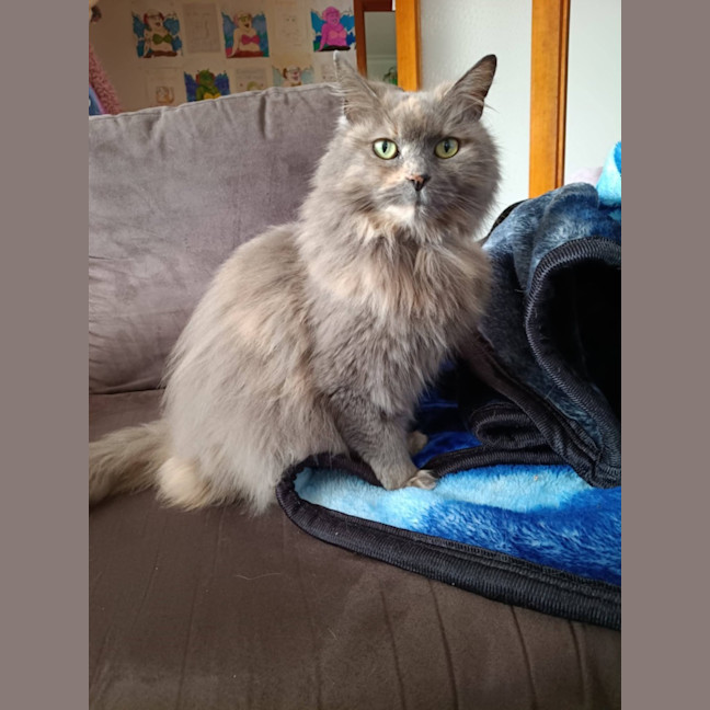 Photo of Matilda 