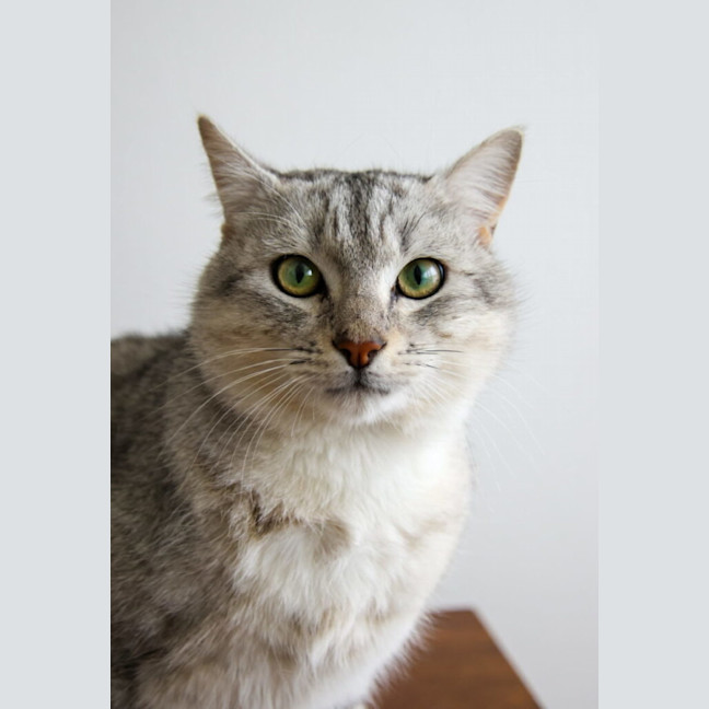 Photo of Boden