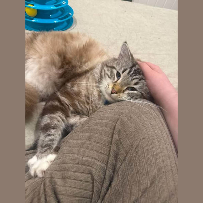 Photo of Oscar