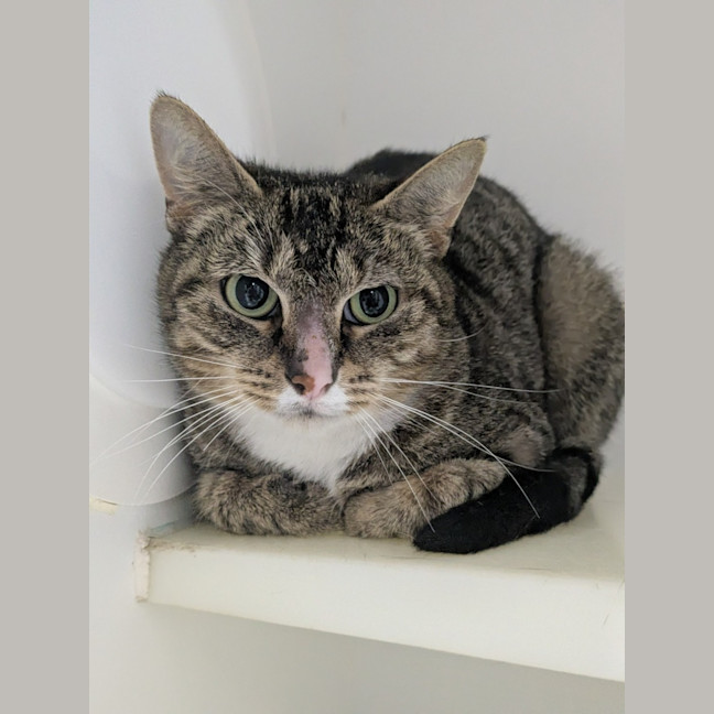 Photo of 🎊 Martha May 6710 🎊