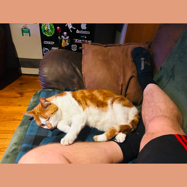 Photo of Ned