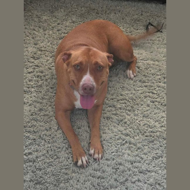 Photo of Meg