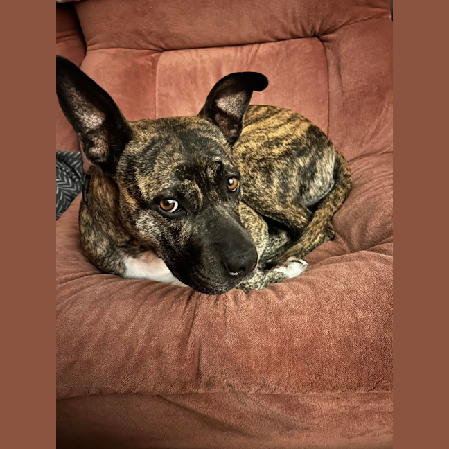Photo of Lola