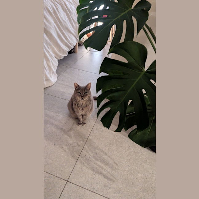 Photo of Zara