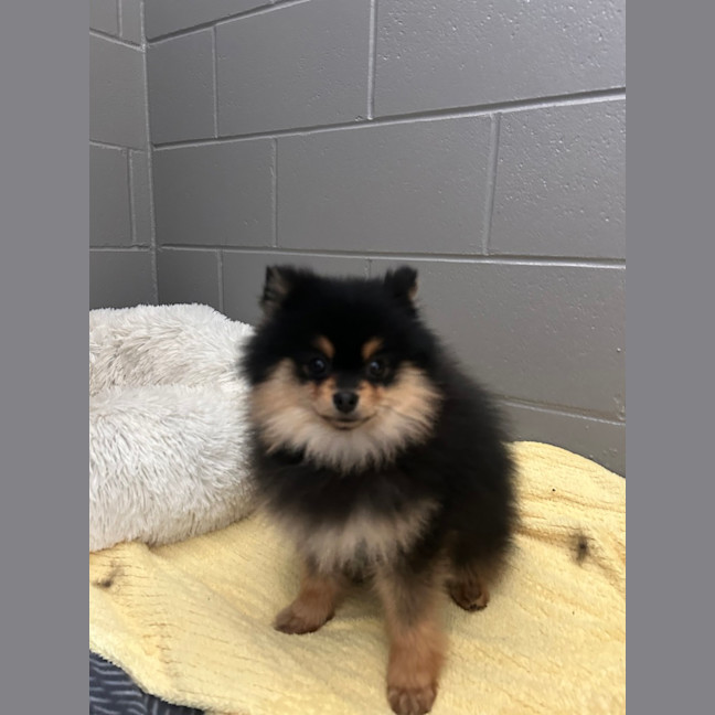 Photo of Storm