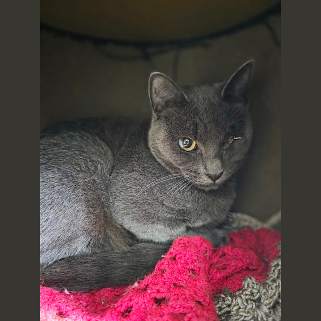 Photo of Sharon