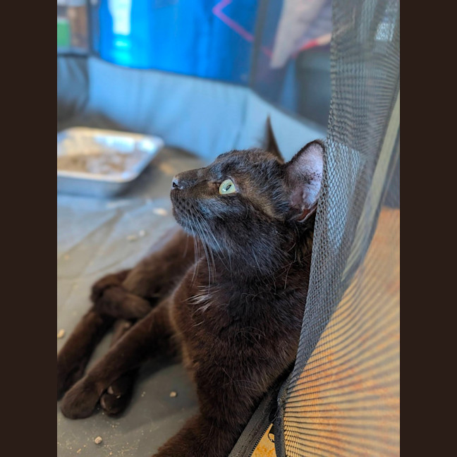 Photo of Xander
