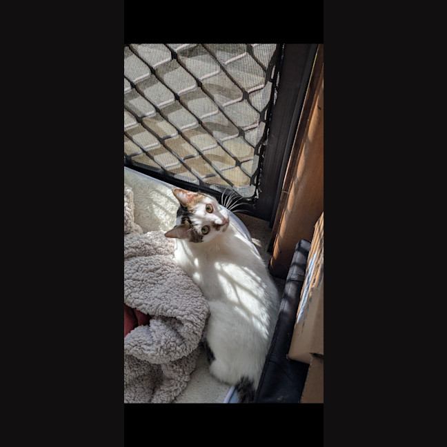 Photo of Gus