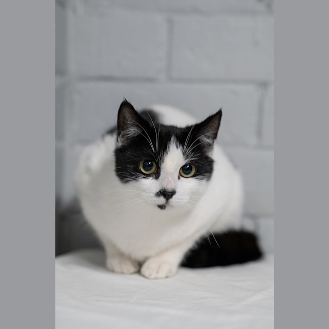 Photo of Wednesday
