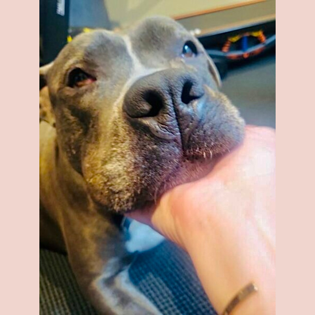 Photo of Ace