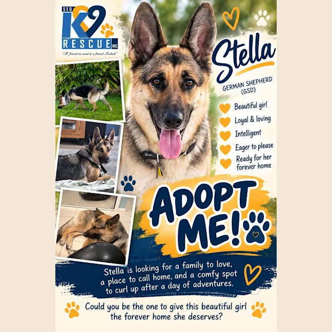 Photo of Stella