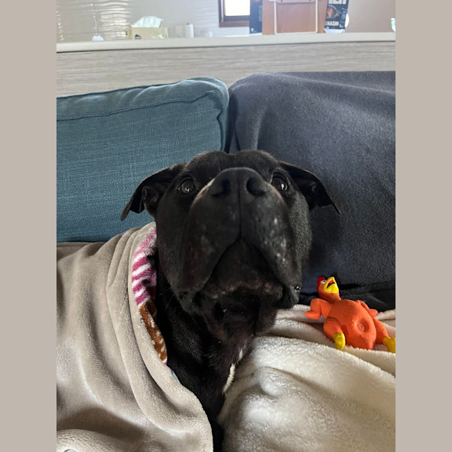 Photo of Monte