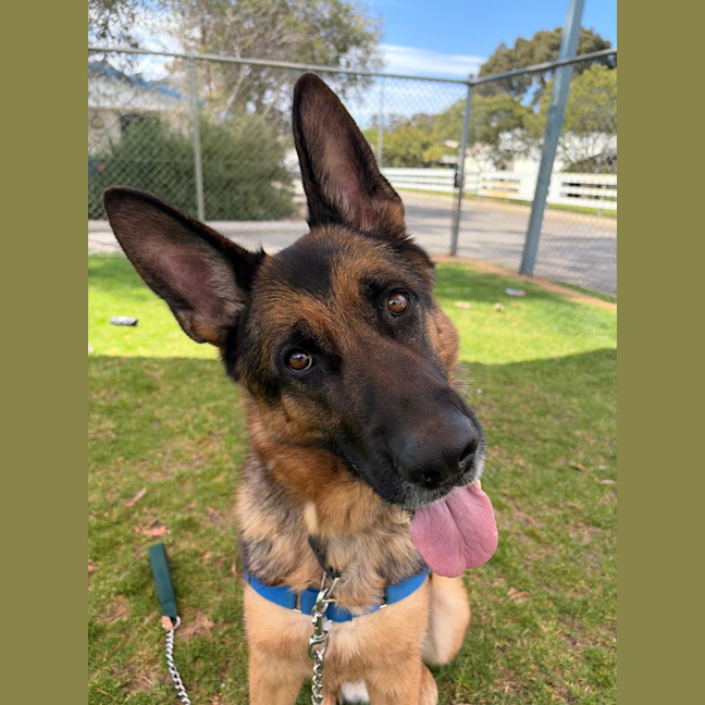 Photo of Kaiser