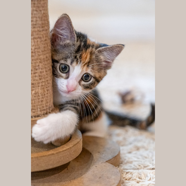 Photo of Zoe