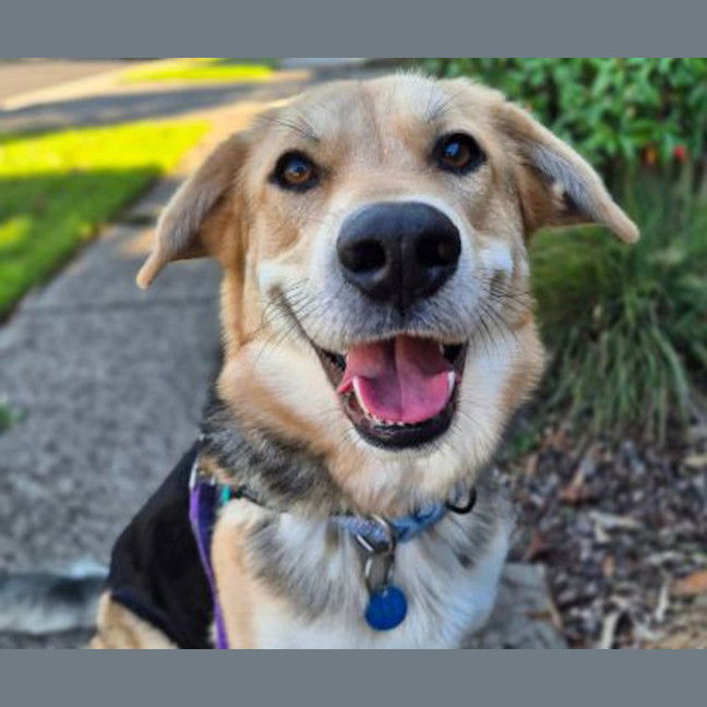 Photo of Hera