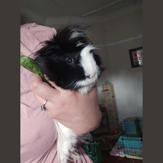 Photo of Huey
