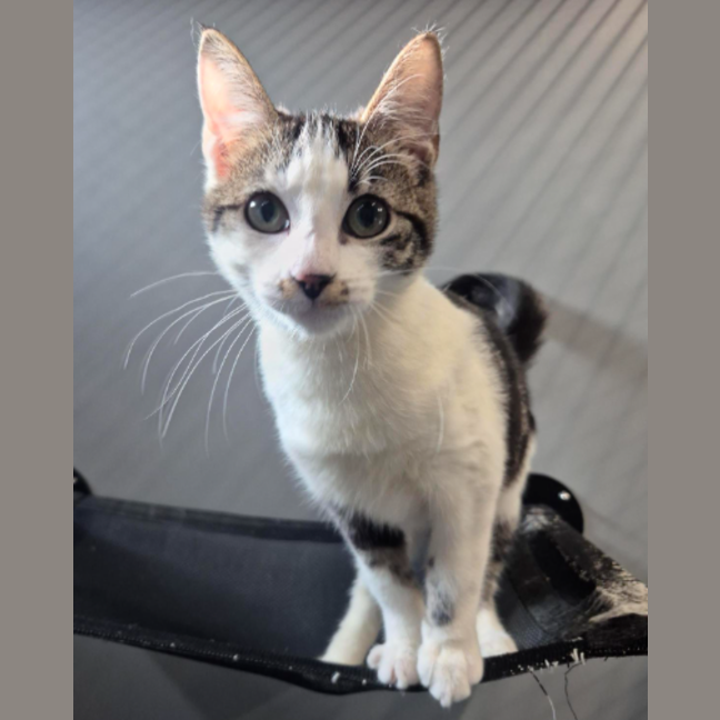 Photo of Olivia