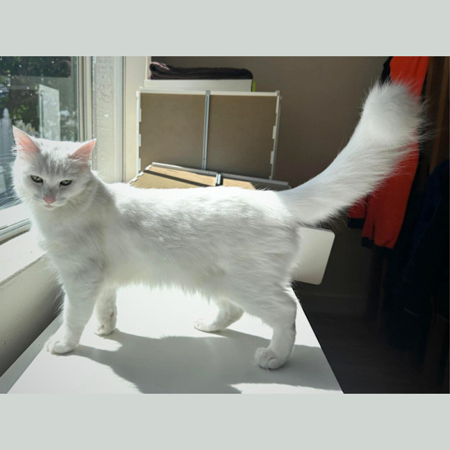Photo of Yuki
