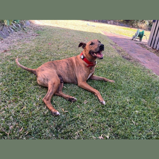 Photo of Trigger