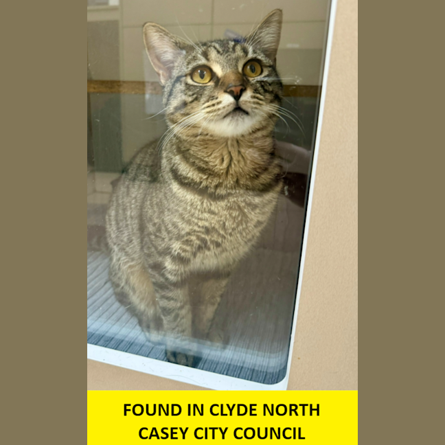 Photo of Floyd