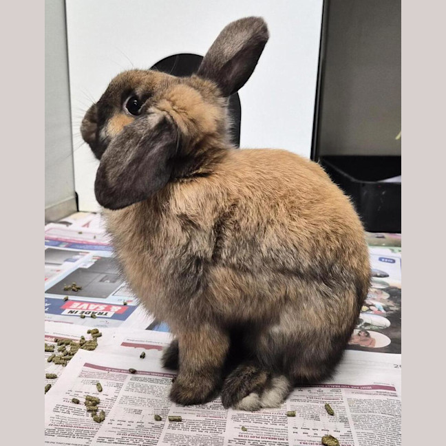 Photo of Wilbun