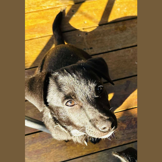 Photo of Austin