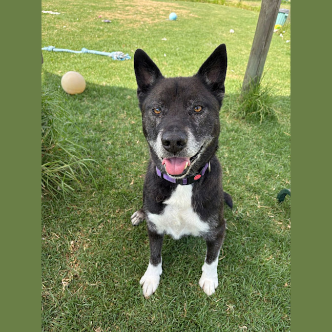 Photo of Hershey