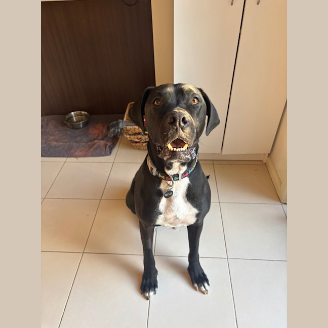 Photo of Max