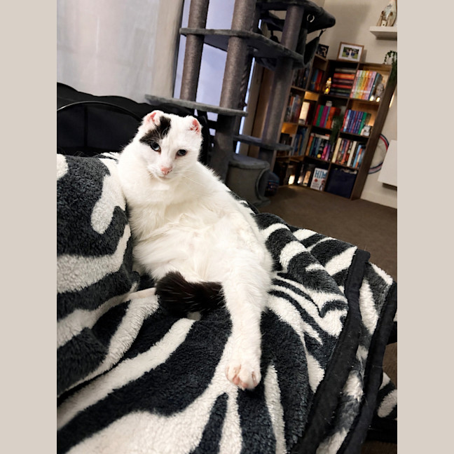 Photo of Jenny