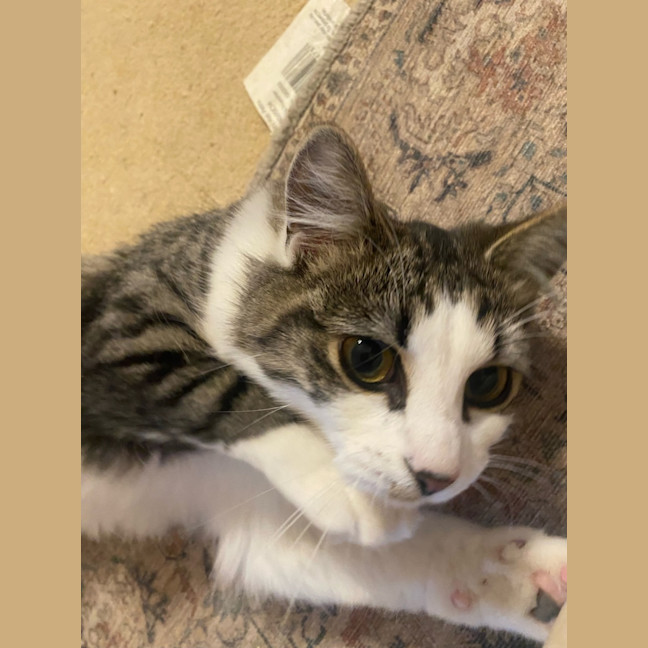 Photo of Mabel 