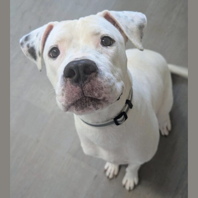 Photo of Sammie