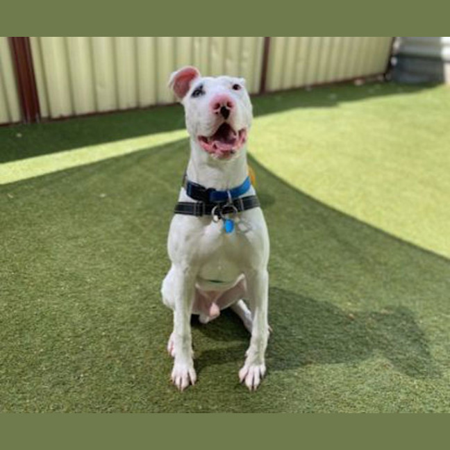 Photo of Oakley
