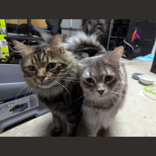 Photo of Wax & Wayne