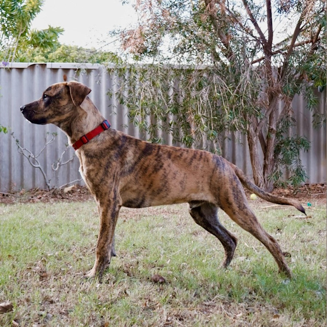 Photo of Reggie