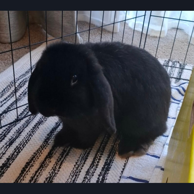 Photo of Sasha Bean