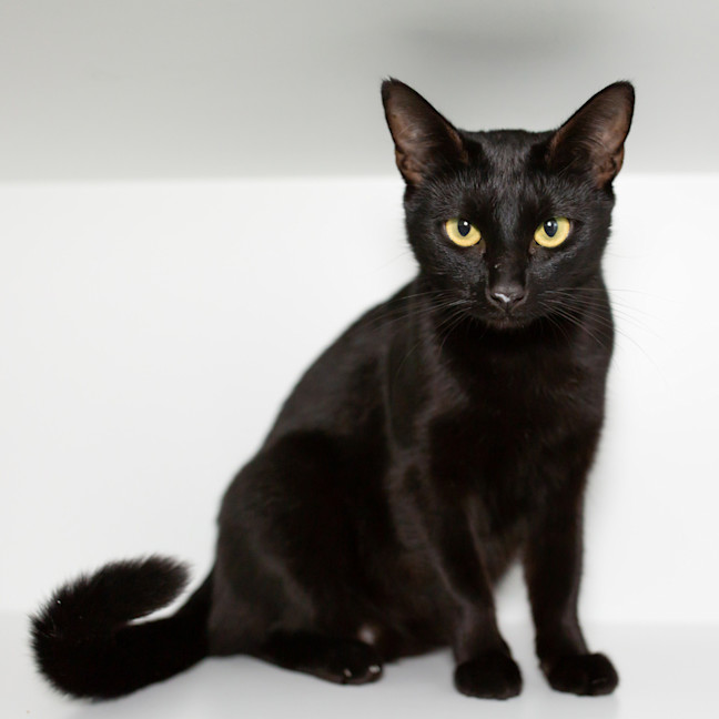 Photo of Lucy (Mamma)