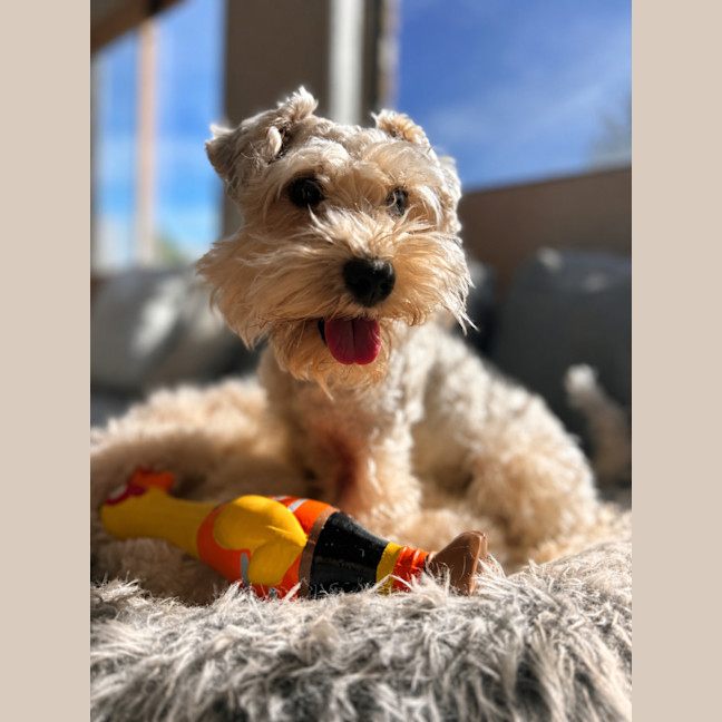 Photo of Lexi