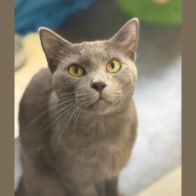Photo of Asher