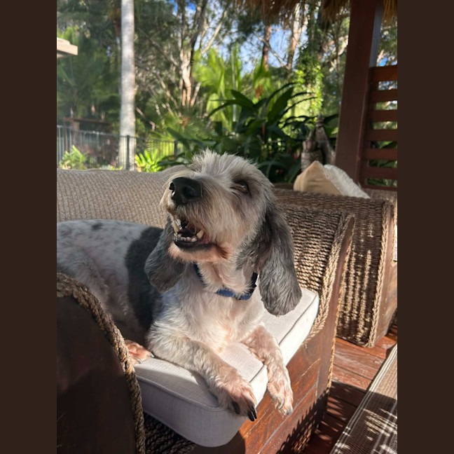 Photo of Rocky
